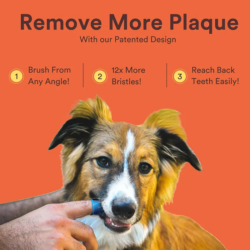 360º Dog Tooth Brushing (2)
