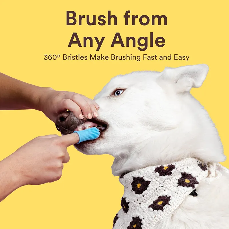 360º Dog Tooth Brushing (4)