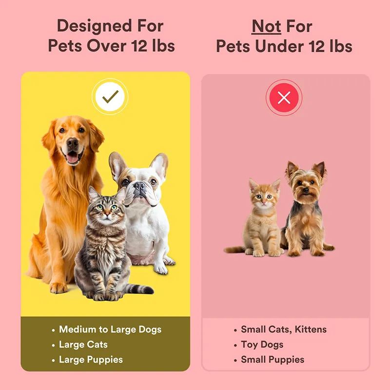 360º Dog Tooth Brushing (5)