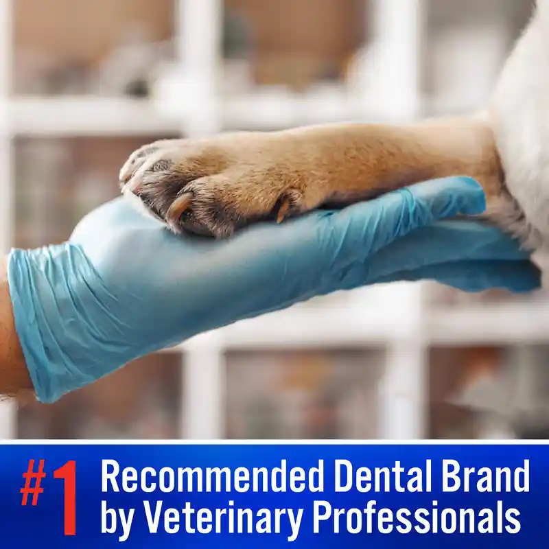 Best Pet Enzymatic Toothpaste (2)