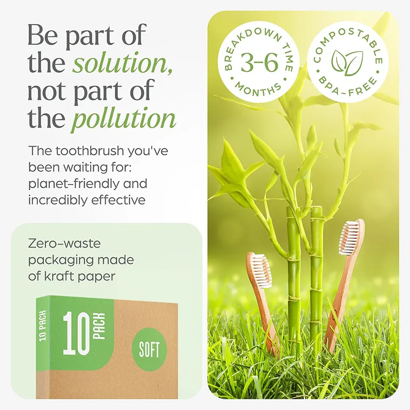 Biodegradable Bamboo Toothbrushes (5)