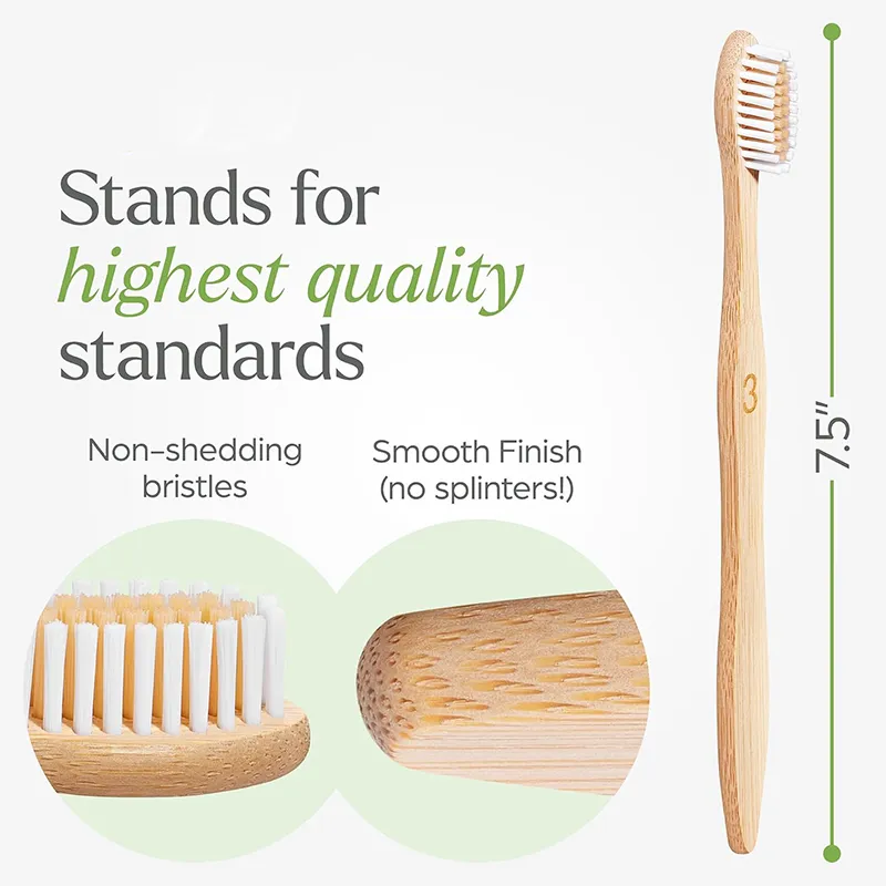 Biodegradable Bamboo Toothbrushes (6)