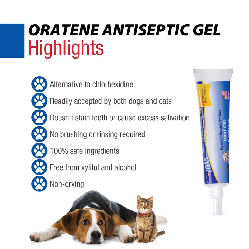 Brushless Oral Gel (2)