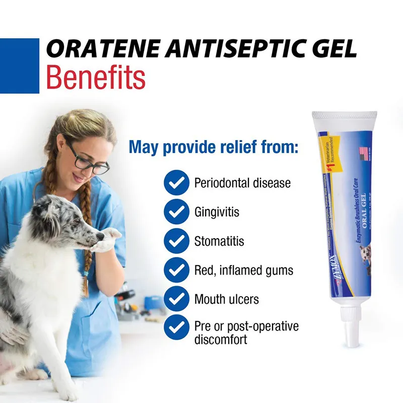 Brushless Oral Gel (3)
