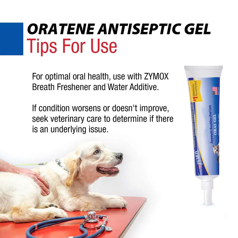 Brushless Oral Gel (4)