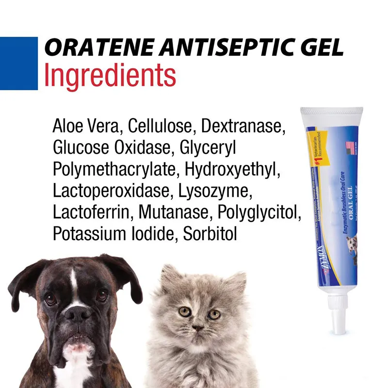 Brushless Oral Gel (5)