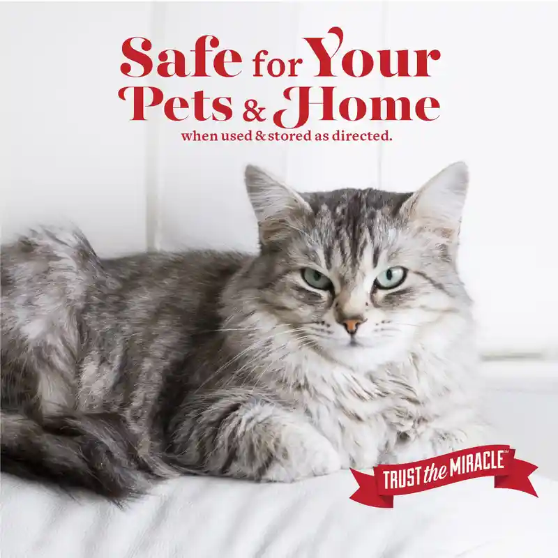 Cat Stain and Odor Eliminator Spray (5)