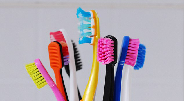 Die Wahl des richtigen Borstenmaterials für Sie