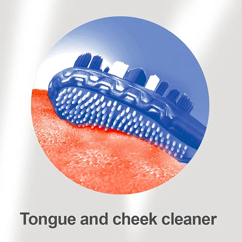 Disposable Electric Toothbrush (6)
