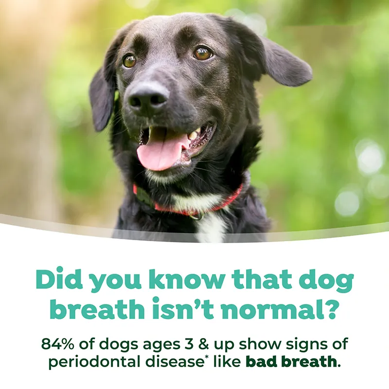 Dog Breath Water Additive (3)