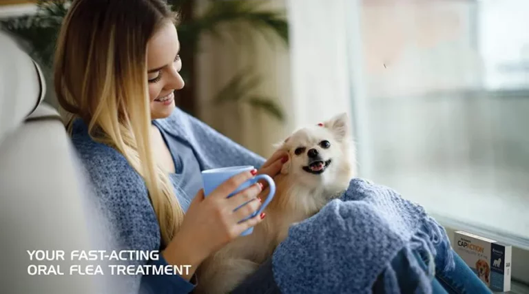 Dog Oral Flea Treatment Benefits and Considerations