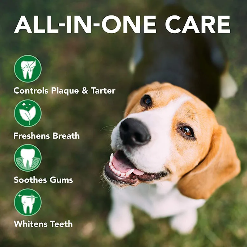 Dog Toothbrush & Toothpaste Kit (2)