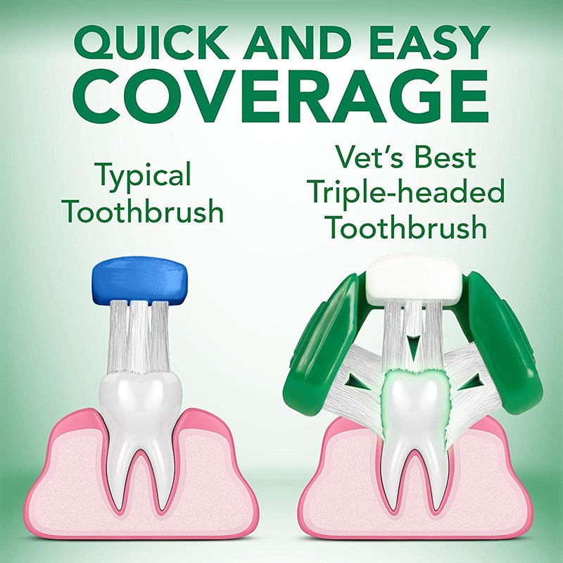 Dog Toothbrush & Toothpaste Kit (6)