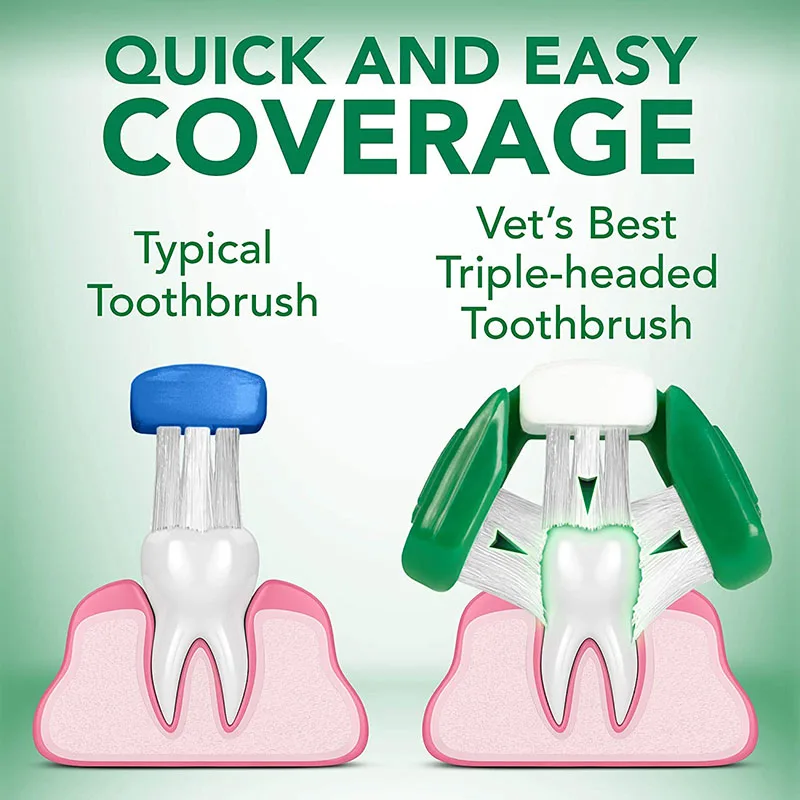 Dog Toothbrush & Toothpaste Kit (6)