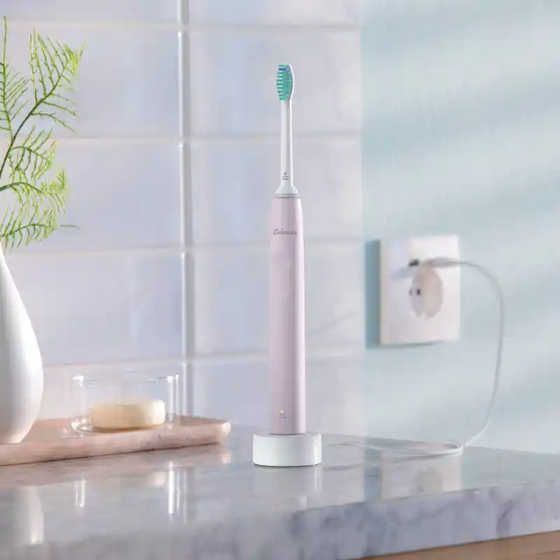 Electric Toothbrush (3)