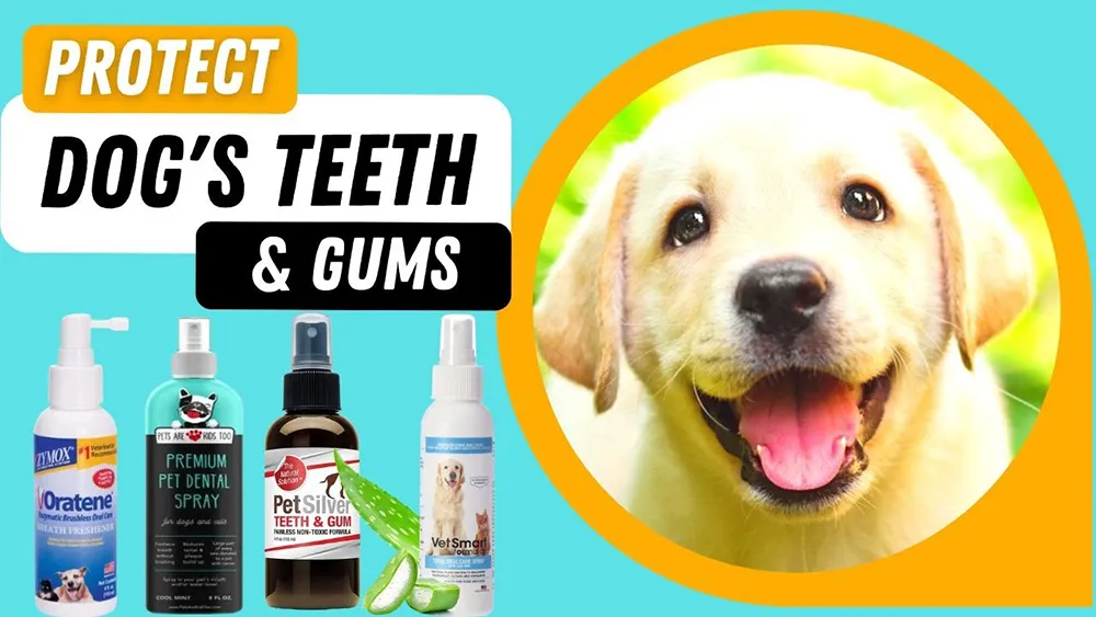 How to Customize Dog Breath Freshener Spray for Your Brand