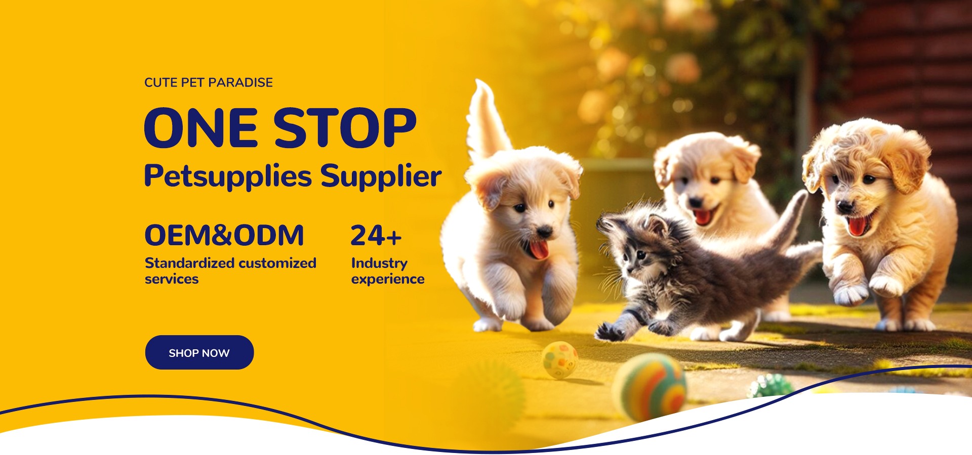 Leading Pet Toothpaste Producers in Guangzhou