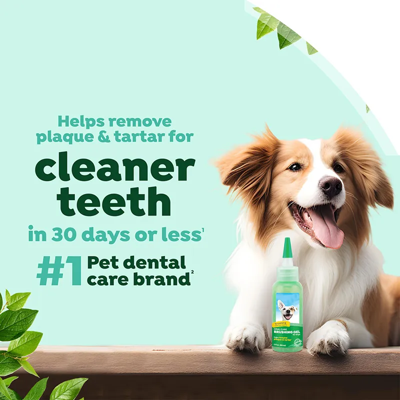 Oral Care Brushing Gel (2)