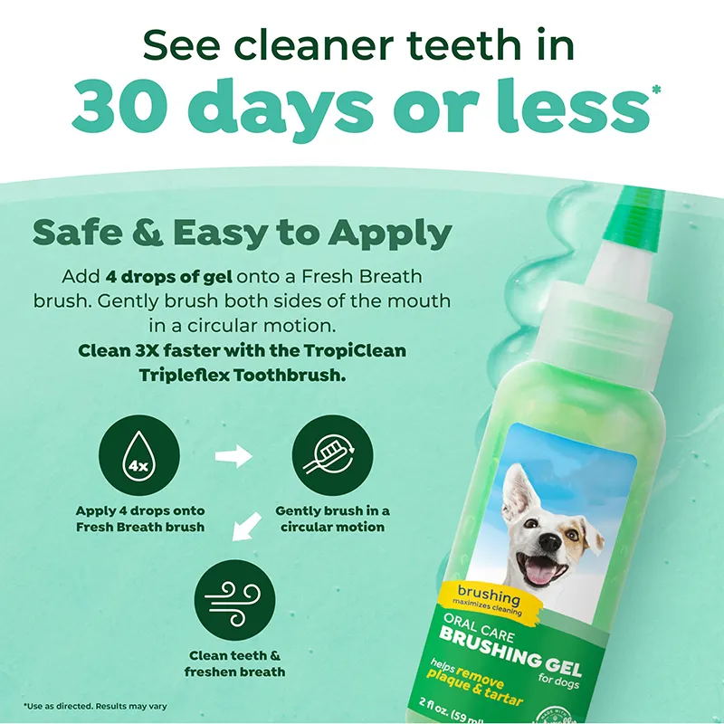 Oral Care Brushing Gel (3)