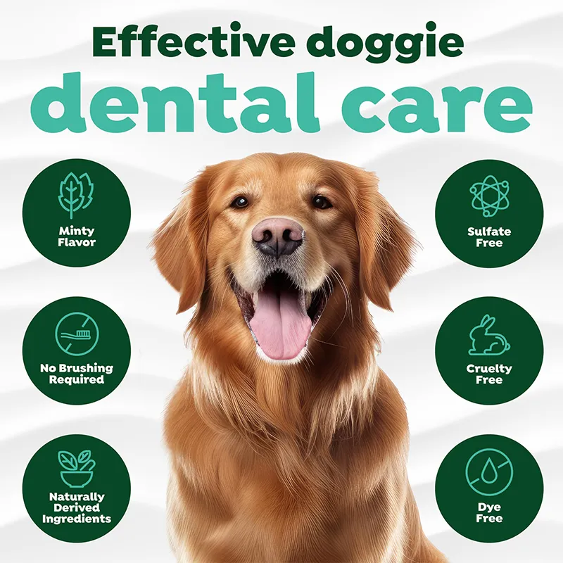 Oral Care Brushing Gel (4)