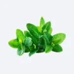 Peppermint Oil