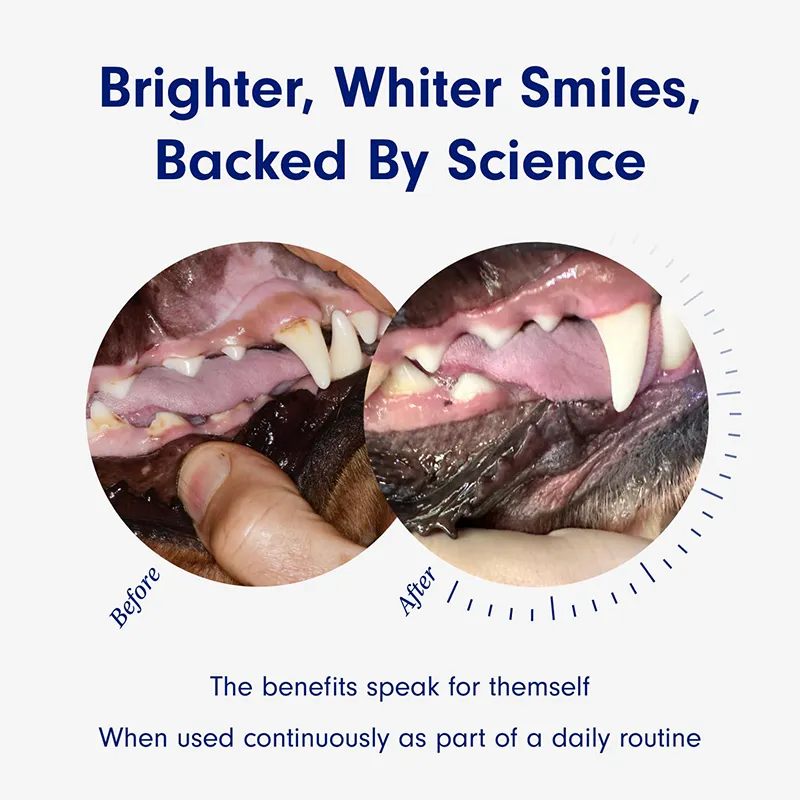 Pet Dental Powder (2)