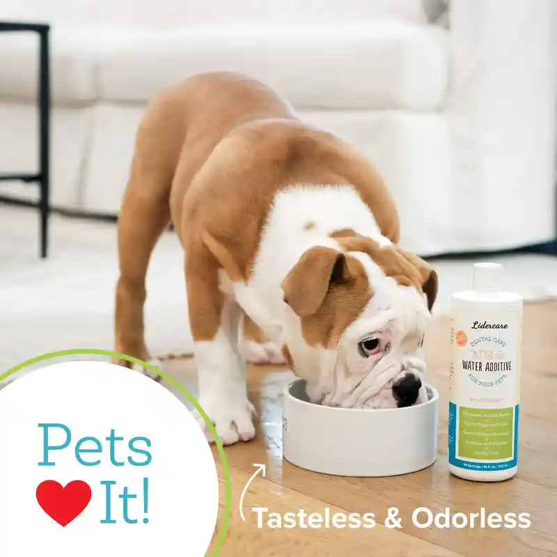 Pet Water Additive (2)