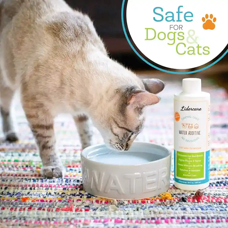 Pet Water Additive (3)