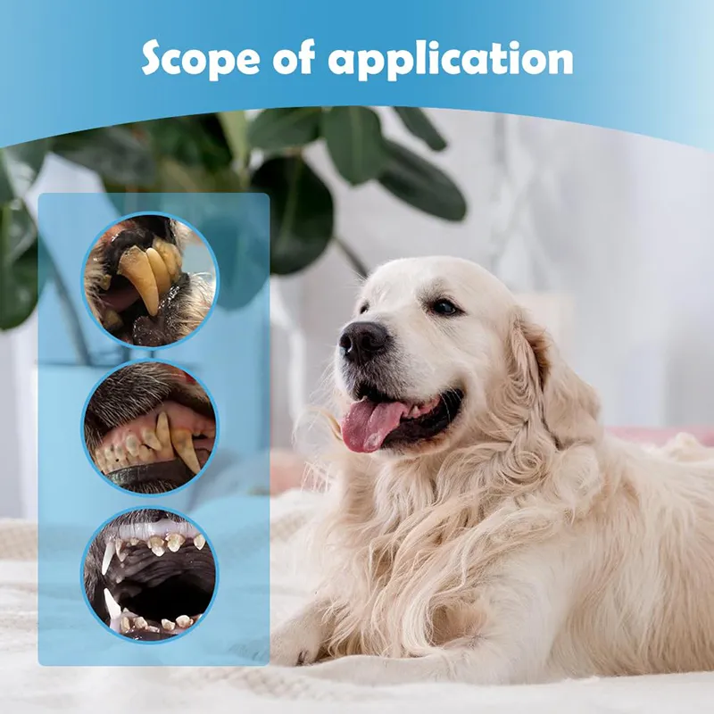 Pet Whitening Ge ( (8)