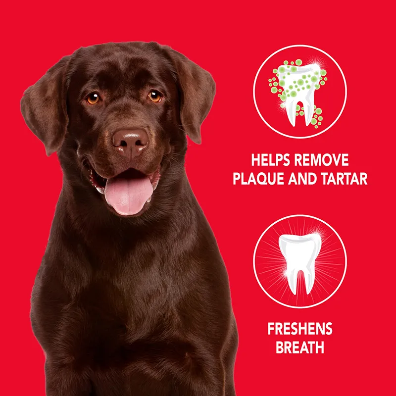 Reduces Plaque Toothpaste for Dogs (2)