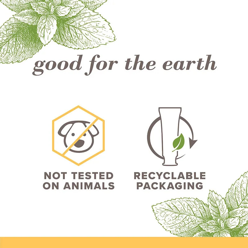 SLS Free Zen Toothpaste (4)