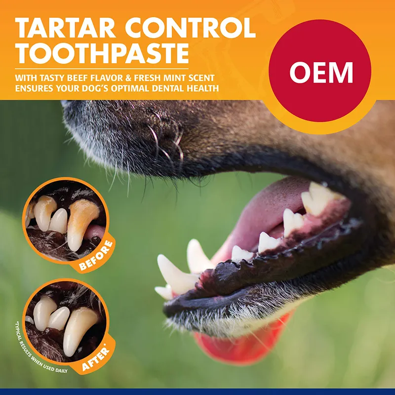 Tartar Control Kit for Dogs (5)