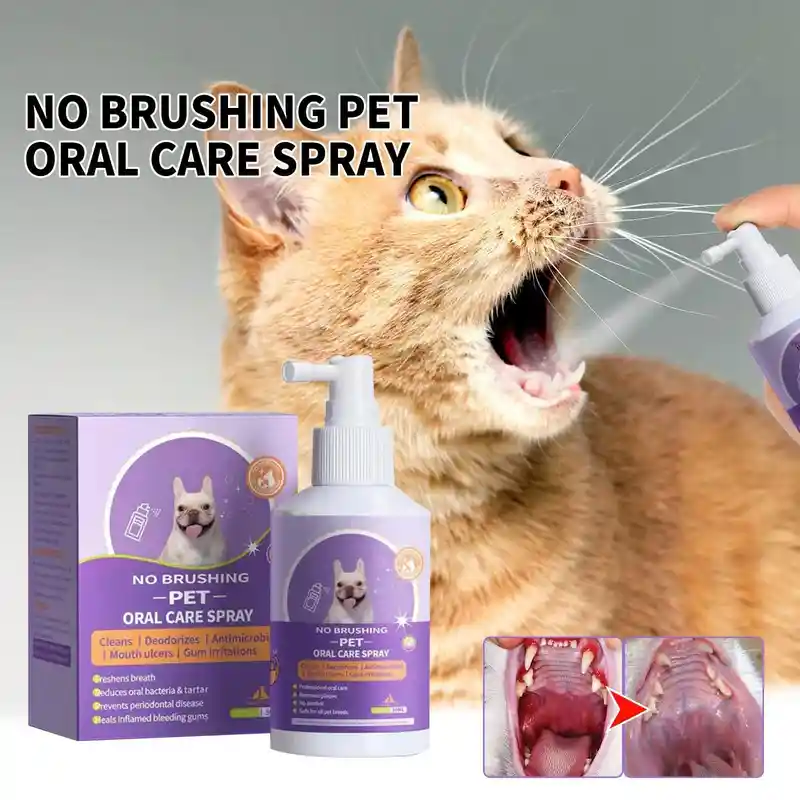Teeth Cleaning Spray for Dogs & Cats (2)