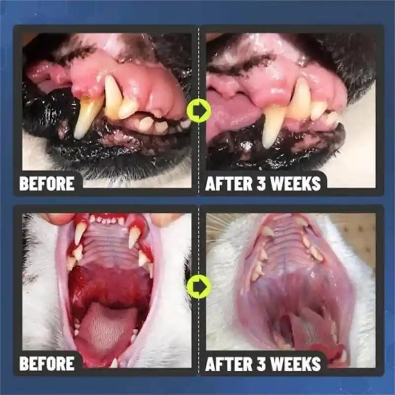 Teeth Cleaning Spray for Dogs & Cats (5)
