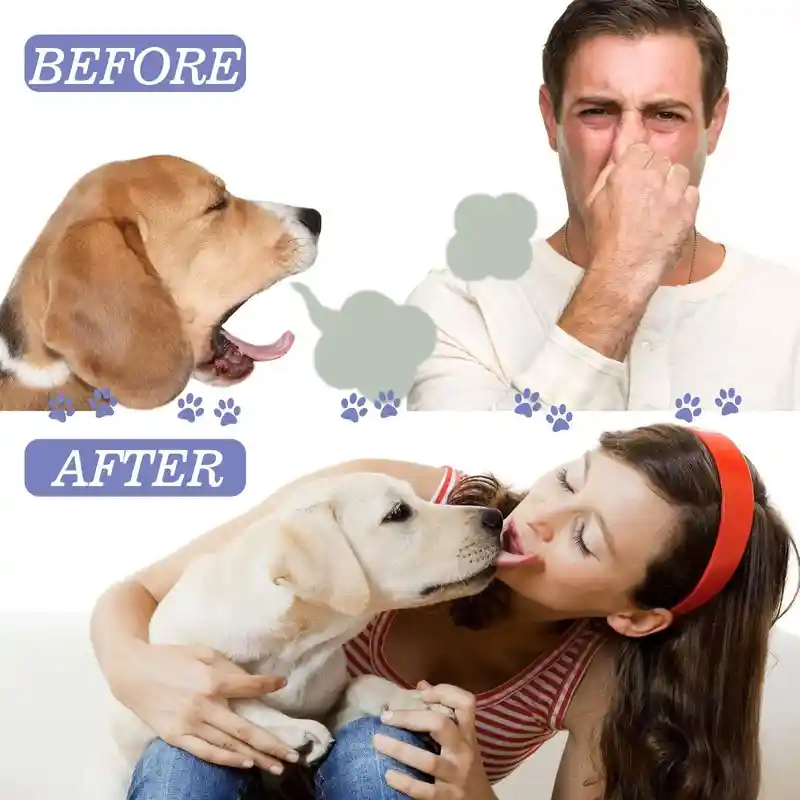 Teeth Cleaning Spray for Dogs & Cats (6)