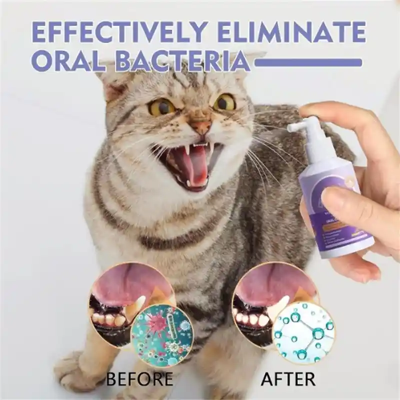 Teeth Cleaning Spray for Dogs & Cats (7)