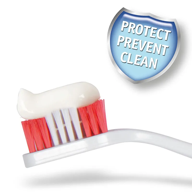 Toothpaste for Dogs and Cats (2)