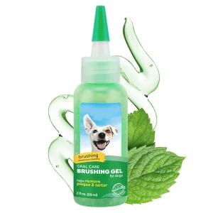 Oral Care Brushing Gel (1)